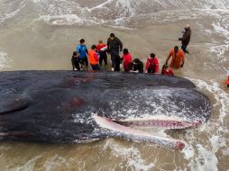 Un centenar de vecinos de Santa Clara observó desde la arena las maniobras del frustrado rescate. AFP/D. Izquierdo-TELAM