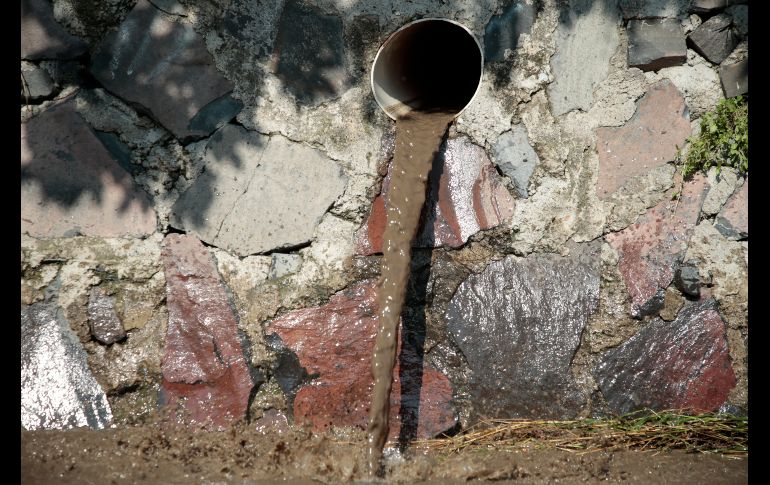 EL INFORMADOR / F. Atilano