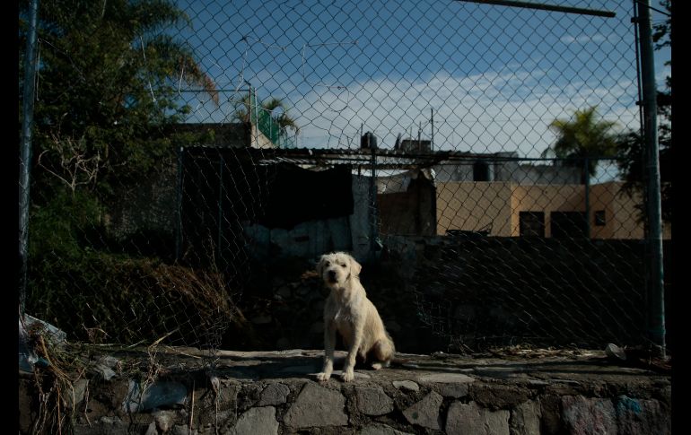 EL INFORMADOR / F. Atilano