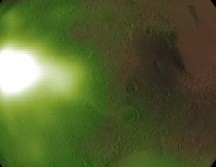 Resplandor nocturno ultravioleta en la atmósfera marciana. La luz ultravioleta no es visible al ojo humano, por lo que la ilustración usa colores falsos verde y blanco. Los colores representan la intensidad de la luz ultravioleta, con los sitios más brillantes en blanco. NASA/MAVEN/GODDARD SPACE FLIGHT CENTER/CU/LASP