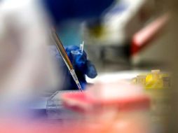 Las autoridades europeas y el laboratorio aún deberán negociar los términos finales del contrato. EFE/S. Moreira