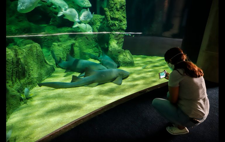 EL INFORMADOR / F. Atilano