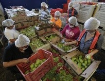 El Banco de Alimentos atiende a más de 30 mil familias vulnerables en la entidad. EL INFORMADOR/ARCHIVO