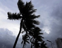 El ojo del ciclón está a unos 375 kilómetros al este-sureste de la parte norte de las islas de Sotavento y se dirigía al oeste-noroeste a 33 km/h. EFE / ARCHIVO
