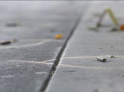 Este año, de enero a julio, dos mil 695 personas han sido asesinadas en Guanajuato. EL INFORMADOR/ARCHIVO