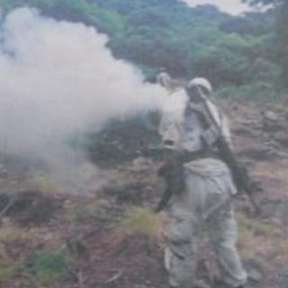 Encuentran y destruyen plantíos de mariguana en Ixtlahuacán del Río