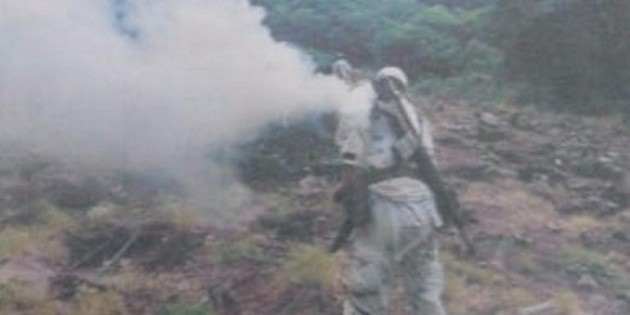 Encuentran y destruyen plant&iacute;os de mariguana en Ixtlahuac&aacute;n del R&iacute;o