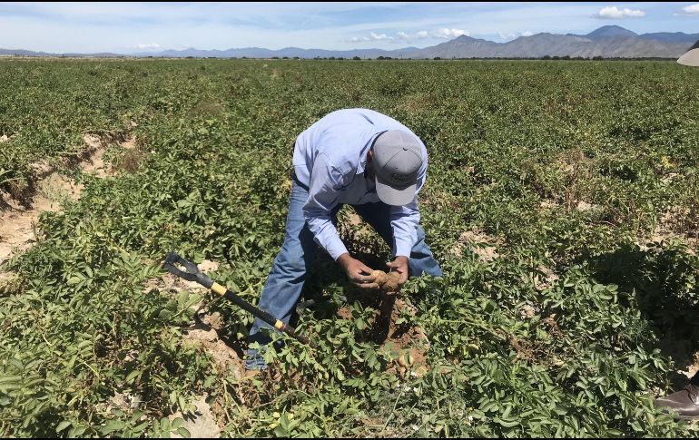 Con las modificaciones se busca beneficiar la operación y distribución de recursos. ARCHIVO