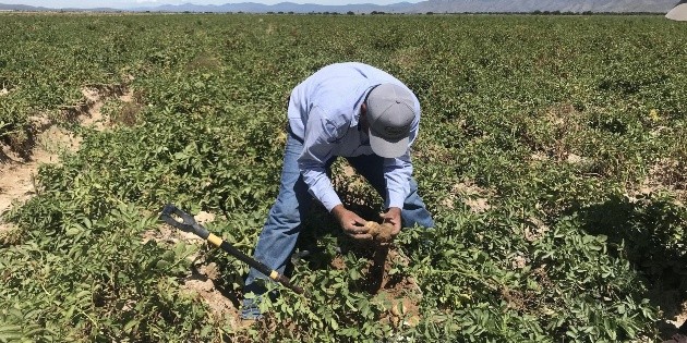 Pide Coneval cambios en programas