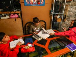 Desde que comenzaron a tener clases en casa, muchos niños no han visto ni a sus compañeros ni a su maestra. SUN / D. Sánchez