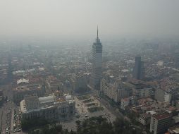 El ozono disminuye el valor nutricional de las hojas y altera los mensajes químicos de los seres vivos. EFE / ARCHIVO