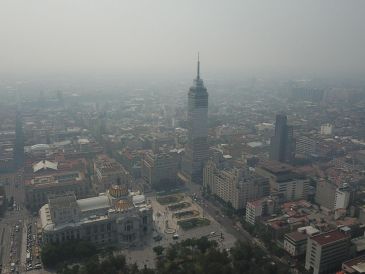 El ozono disminuye el valor nutricional de las hojas y altera los mensajes químicos de los seres vivos. EFE / ARCHIVO