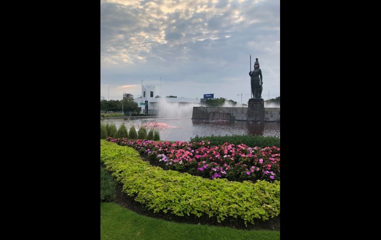 TWITTER/@AbogadasVioleta