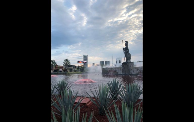 TWITTER/@AbogadasVioleta