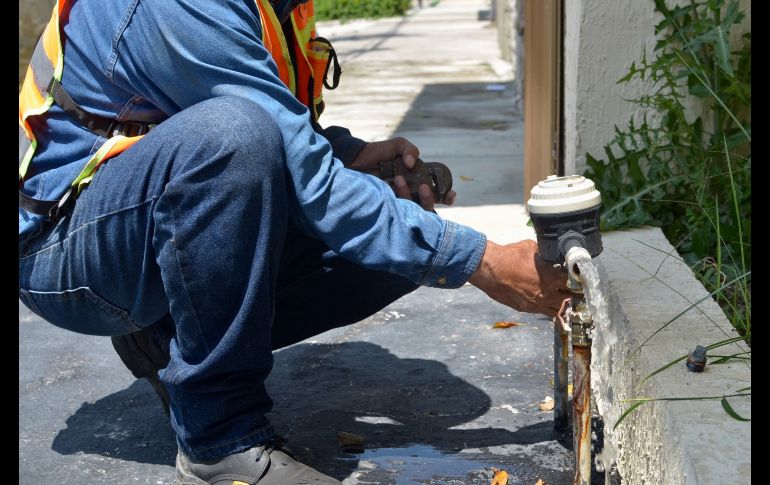 Labores de Jardines Alcalde y Providencia este martes. ESPECIAL/Coordinación General de Gestión del Territorio