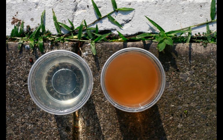 Trabajos en las colonias Colinas de la Normal y Jardines Alcalde. ESPECIAL/Coordinación General de Gestión del Territorio