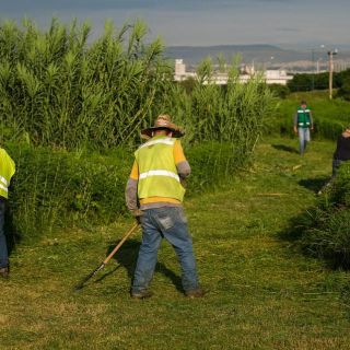 Vecinos logran que "corralón" se convierta en Bosque Urbano en Tlaquepaque