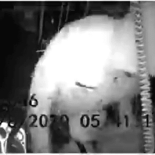 Golpean a chofer por exigir uso correcto de cubrebocas