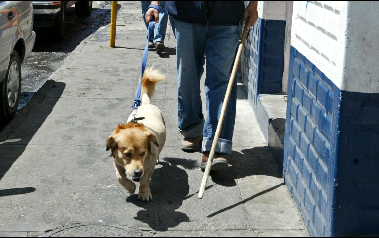 Pretenden garantizar los derechos de las personas con discapacidad que requieren de animales de asistencia para su día a día. EL INFORMADOR / ARCHIVO