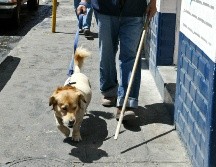 Pretenden garantizar los derechos de las personas con discapacidad que requieren de animales de asistencia para su día a día. EL INFORMADOR / ARCHIVO