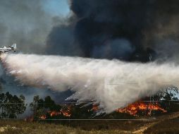 ALARMA. El fuego ya consumió 10 mil hectáreas. EFE
