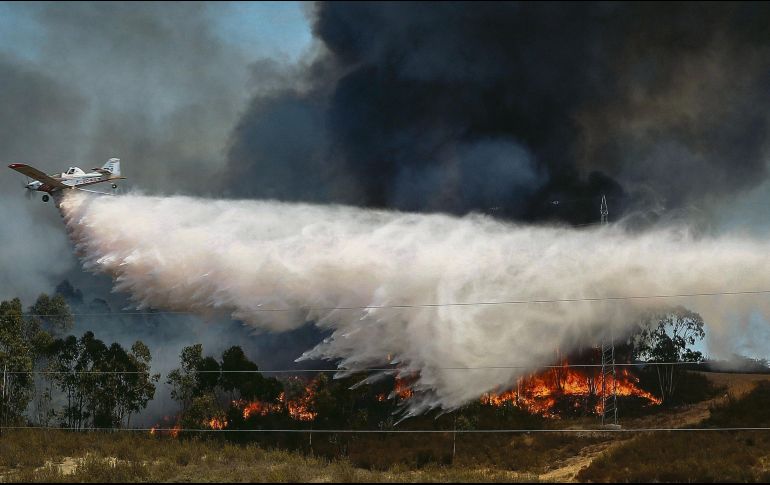 ALARMA. El fuego ya consumió 10 mil hectáreas. EFE