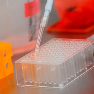 La OMS alerta sobre riesgos por uso prematuro de vacuna contra COVID-19