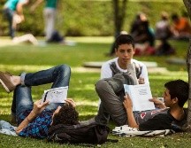 Del 16 de noviembre al 16 de diciembre, se plantea el regreso de clases híbridas para todos los cursos pero con grupos reducidos. ESPECIAL / UdeG