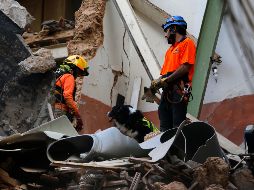 Rescatistas chilenos con un perro entrenado buscan hoy entre los escombros del edificio donde se detectró un latido. AP/B. Hussein