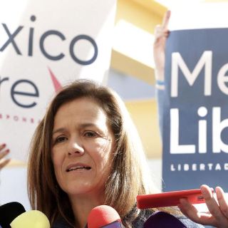 Comisión del INE aprueba dar registro a México Libre