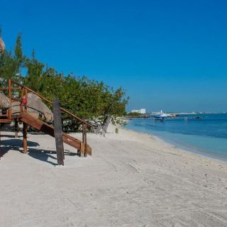 Cancún, Tulum y Playa del Carmen abrirán el lunes al 60%