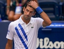 Djokovic pidió disculpas a la jueza. AP / S. Wenig