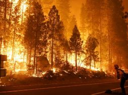 Bomberos luchan contra el incendio en el área del embalse Mammoth Pool en el bosque nacional Sierra, a unos 70 kilómetros al noreste de Fresno. AP / M. Sanchez