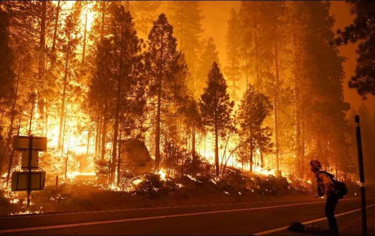 Bomberos luchan contra el incendio en el área del embalse Mammoth Pool en el bosque nacional Sierra, a unos 70 kilómetros al noreste de Fresno. AP / M. Sanchez