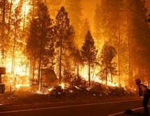 Bomberos luchan contra el incendio en el área del embalse Mammoth Pool en el bosque nacional Sierra, a unos 70 kilómetros al noreste de Fresno. AP / M. Sanchez