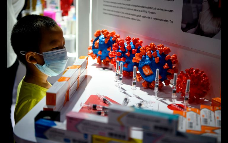 Un niño mira la candidata a vacuna contra COVID-19 de Sinovac Biotech.  AFP/N. Celis