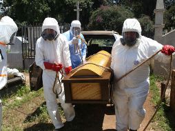 La curva mundial de casos diarios parece estabilizada en menos de 300 mil por jornada desde finales de julio. AFP/ARCHIVO