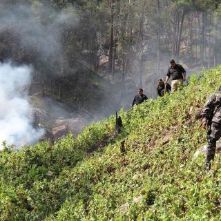 Narcotráfico derrama hasta 90 mil MDD en continente americano