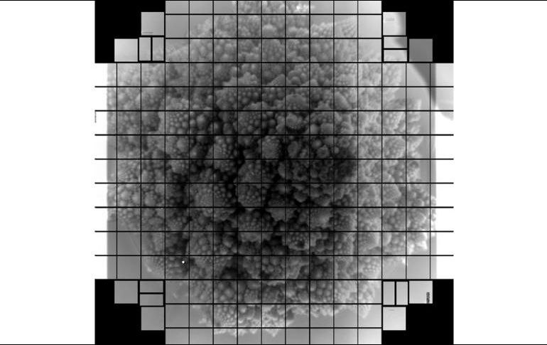 Una cabeza de brócoli fue fotografiada por la cámara de 3.200 megapíxeles que se instalará en el Observatorio Vera Rubin en Chile. LSST Camera Team/SLAC/VRO