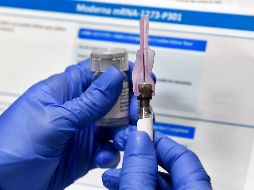 Todavía hay esperanza de que México pueda tener alguna de estas vacunas listas para el próximo 2021. AP/ARCHIVO