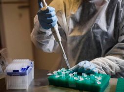 Este miércoles, Rusia y México firmaron un acuerdo para garantizar el suministro de 32 millones de vacunas Sputnik V. EFE/F. Anfitti