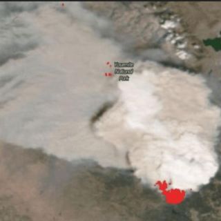 Incendios en California: qué es un pirocumulonimbo, la peligrosa nube "artificial" de tormenta creada por fuegos como los de EE.UU.