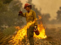 Más de dos mil viviendas y edificios han sido consumidos por una serie de incendios que avanzan rápidamente y a los que ahora se les conoce como el Complejo Norte. AP / D. McNew