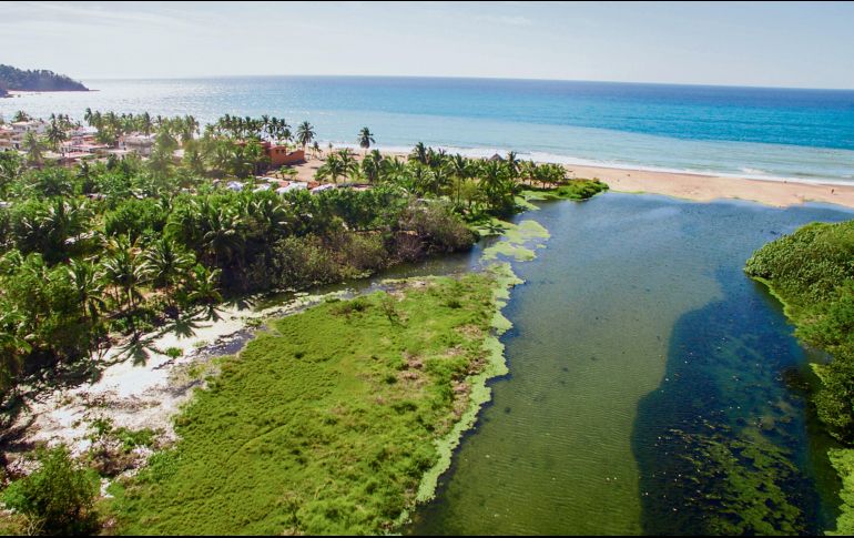 Lo de Marcos (Bahía de Banderas), pueblo pintoresco con playas para hacer surf, senderismo o avistamiento de aves. ESPECIAL