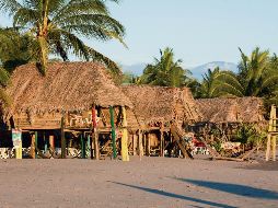 Reserva Natural La Tovara (San Blas), referente mundial para los amantes de las aves endémicas y migratorias. ESPECIAL