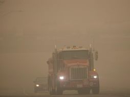 La mayor parte de los fuegos se declararon el fin de semana del 15 de agosto a causa de una tormenta eléctrica nada habitual. EFE / P. Dasilva