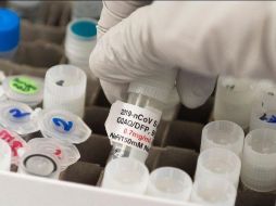 La vacuna será probada en Colombia, Chile, Argentina y México, en concreto a Nuevo León. AFP / ARCHIVO