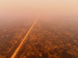 CRISIS CLIMÁTICA Los incendios han aumentado 230% respecto al año pasado. EFE