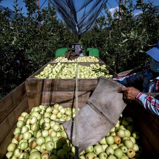 En lo que va septiembre se han creado casi 50 mil empleos: López Obrador