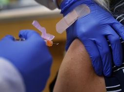 Especialistas insisten que solo hasta finales de año o principios de 2021 es posible que se haya logrado una vacuna segura y efectiva. AFP / ARCHIVO